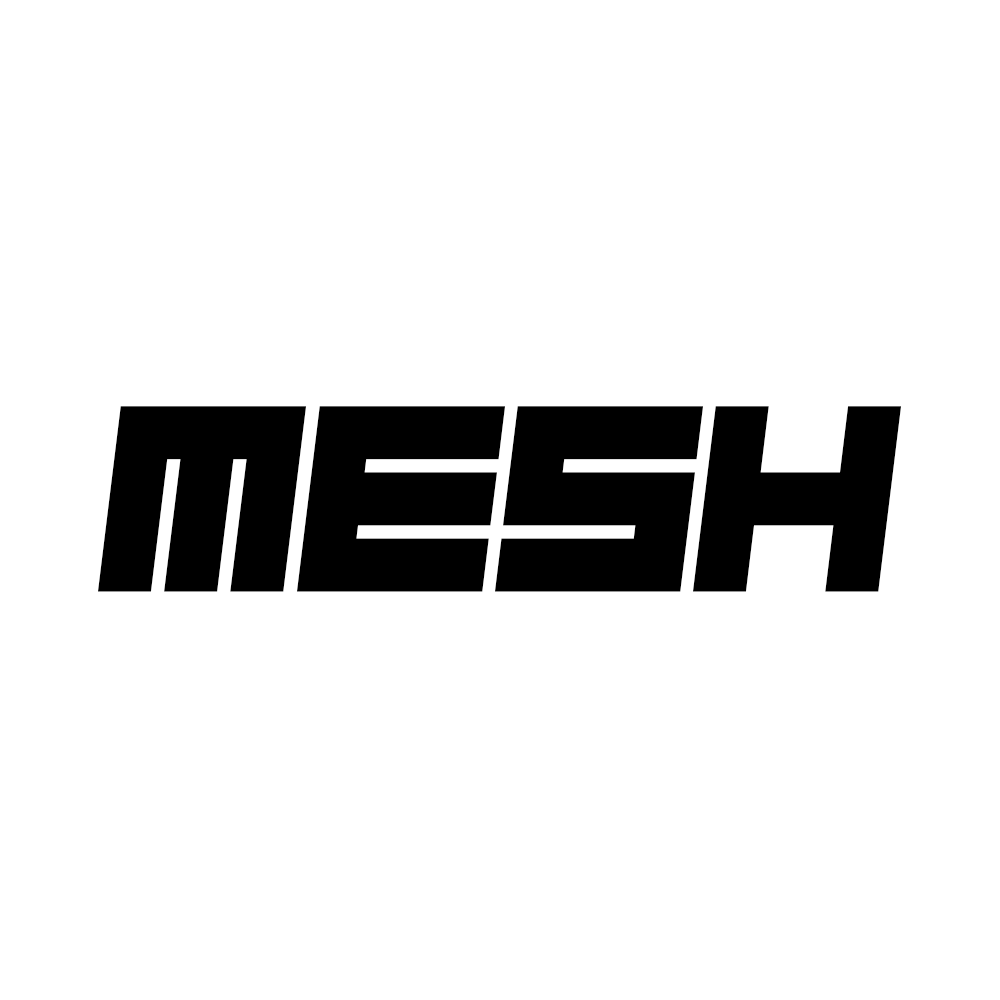 Mesh Logo